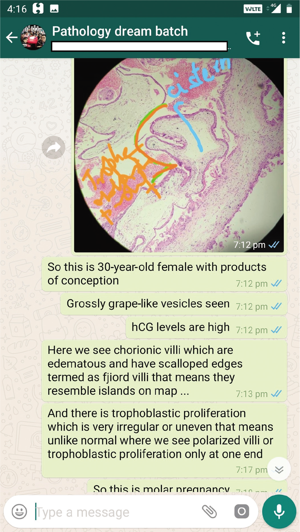 A screenshot of the smartphone screen showing the histomorphological details being discussed after the image is posted