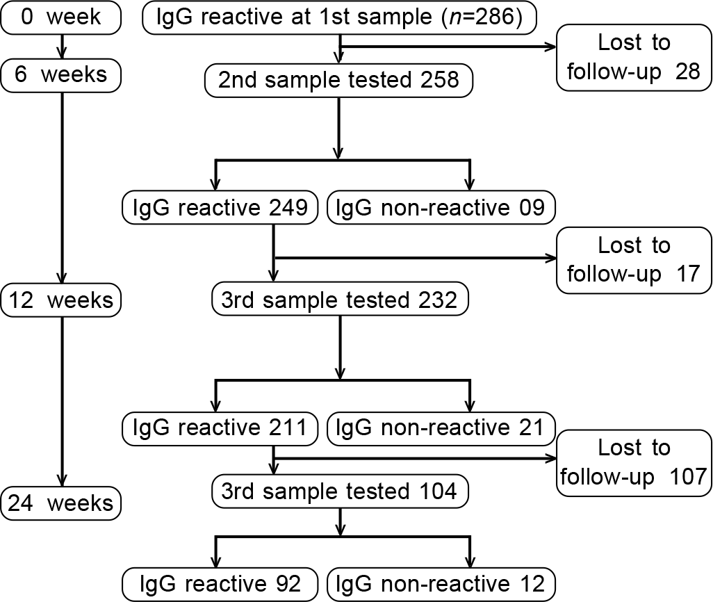 Follow-up Covid-19 IgG titres at 0, 6 and 12 weeks