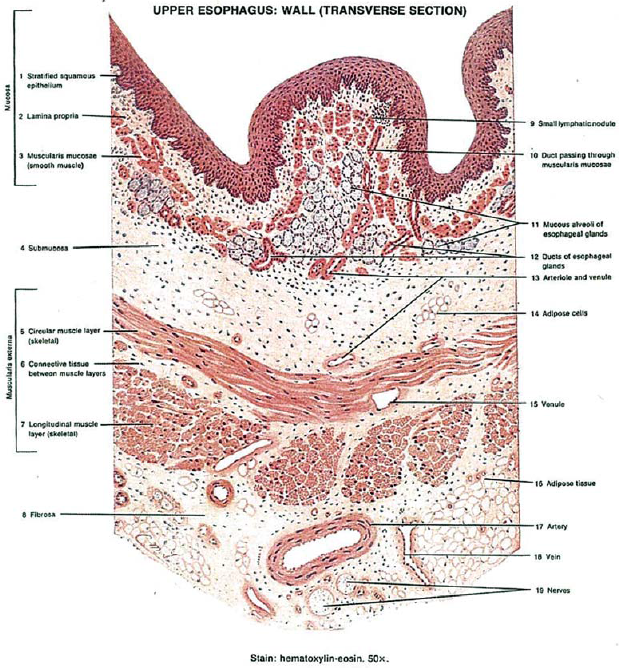 Reference diagram provided for method 1