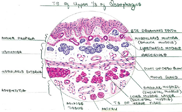 Reference diagram provided for method 2