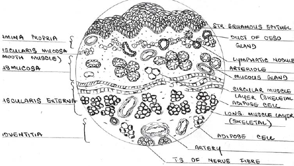 Reference diagram provided for method 3