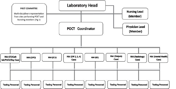 Organizational chart for point-of-care testing (POCT) network at our paediatric hospital